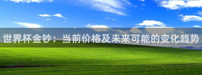 2026世界杯日期：世界杯金钞：当前价格及未来可能的变化趋势