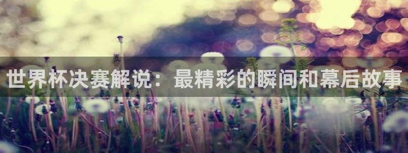 世界杯预选赛赛程：世界杯决赛解说：最精彩的瞬间和幕后故事
