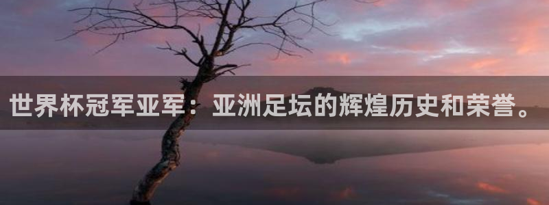 世界杯2026赛制：世界杯冠军亚军：亚洲足坛的辉煌历史和荣誉。