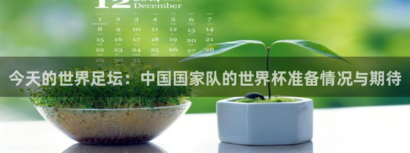 世界杯欧洲区赛程：今天的世界足坛：中国国家队的世界杯准备情况与期待