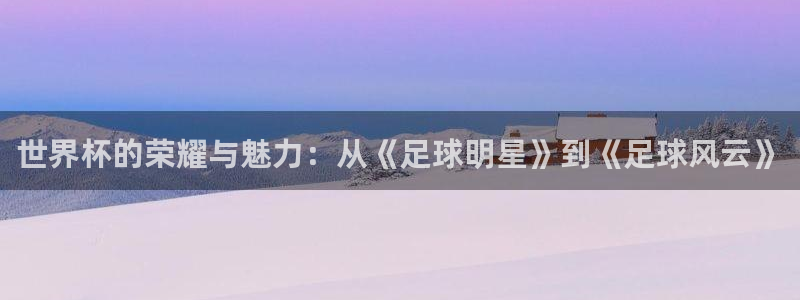 美国世界杯：世界杯的荣耀与魅力：从《足球明星》到《足球风云》