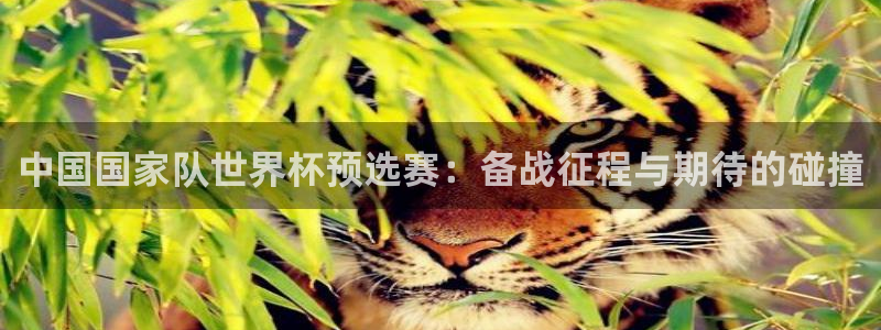 世俱杯直播：中国国家队世界杯预选赛：备战征程与期待的碰撞
