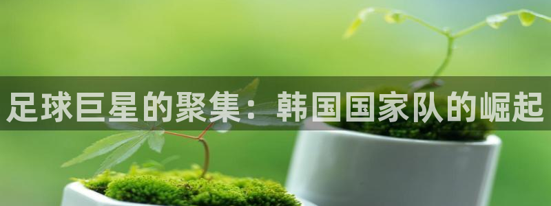 世界杯直播观看：足球巨星的聚集：韩国国家队的崛起