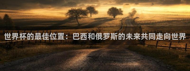 足球世界杯2026：世界杯的最佳位置：巴西和俄罗斯的未来共同走向世界