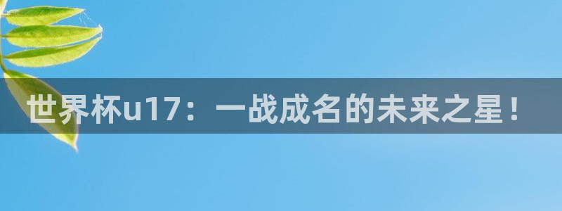 世界杯直播免费观看：世界杯u17：一战成名的未来之星！