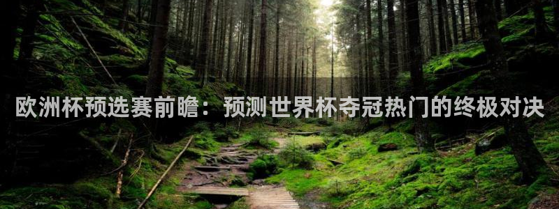 足球世预赛：欧洲杯预选赛前瞻：预测世界杯夺冠热门的终极对决