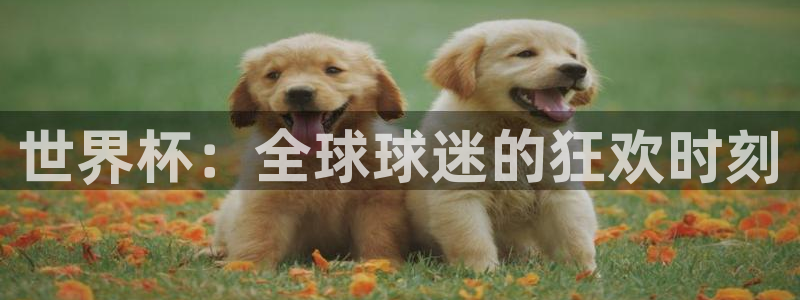 英格兰联赛杯直播：世界杯：全球球迷的狂欢时刻